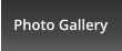 Photo Gallery